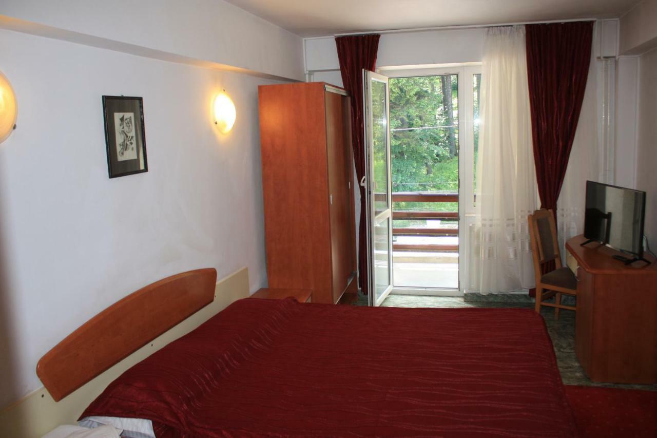 Vila Mihail Otel Buşteni Dış mekan fotoğraf