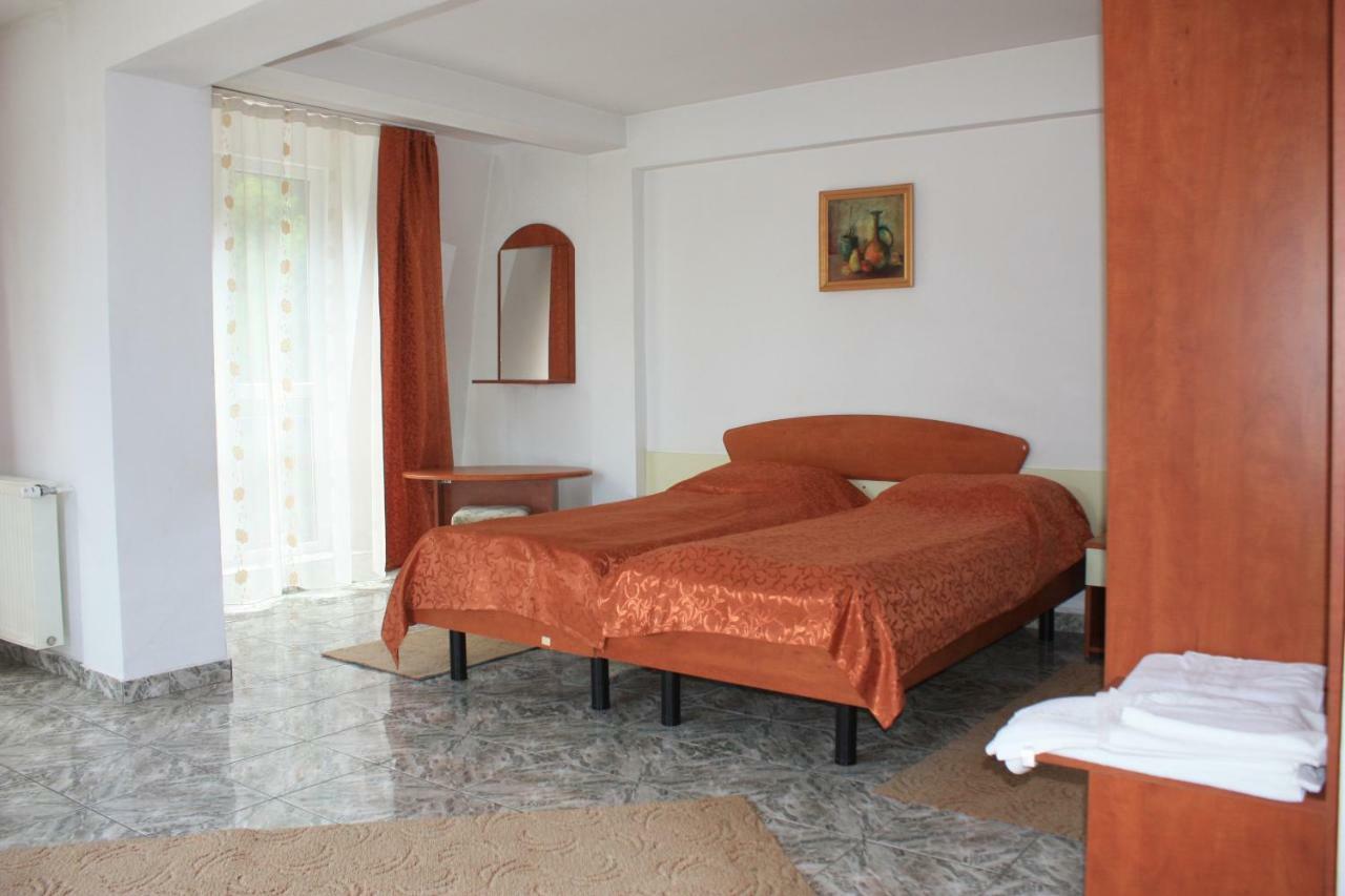 Vila Mihail Otel Buşteni Dış mekan fotoğraf