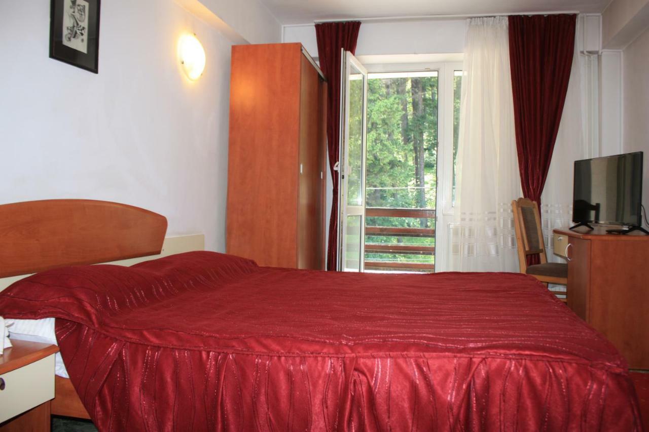 Vila Mihail Otel Buşteni Dış mekan fotoğraf